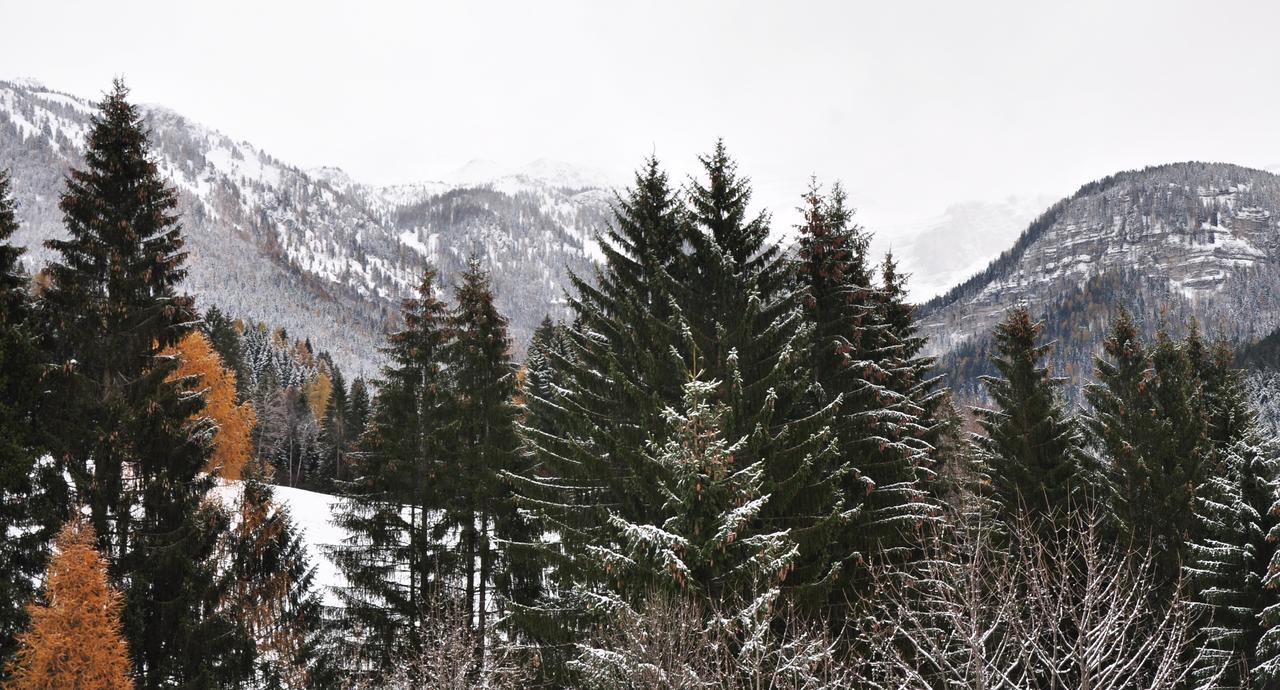 Chalet Chalet Campiglio Doss